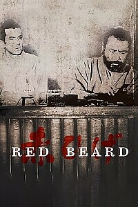 Plakat: Red Beard