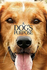 Plakat: A Dog's Purpose