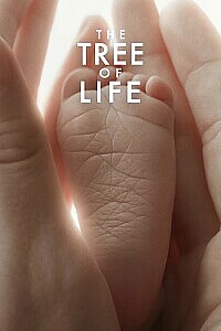 Poster: The Tree of Life