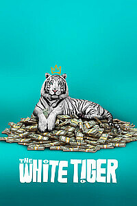 Plakat: The White Tiger