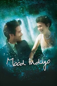 Póster: Mood Indigo