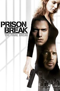 Póster: Prison Break: The Final Break