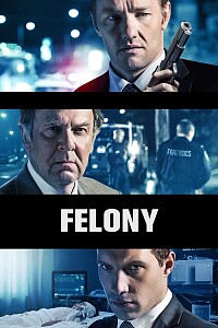 海报: Felony