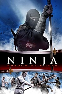 Póster: Ninja: Shadow of a Tear