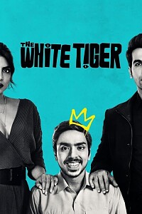 Plakat: The White Tiger