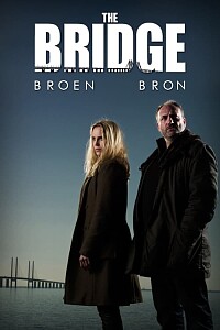 Póster: The Bridge