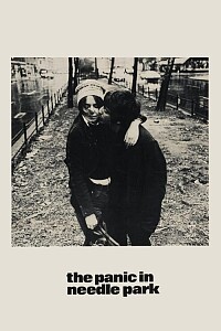 Plakat: The Panic in Needle Park