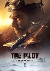 Poster: The Pilot: A Battle for Survival