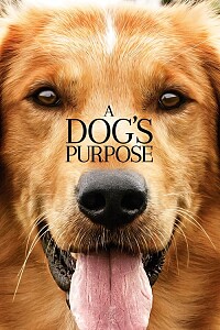 Poster: A Dog's Purpose