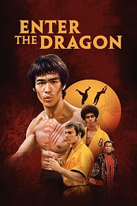 海报: Enter the Dragon