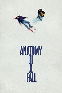 海报: Anatomy of a Fall