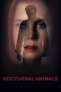 Poster: Nocturnal Animals