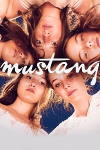 Poster: Mustang