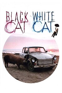 海报: Black Cat, White Cat