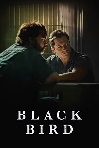 Poster: Black Bird