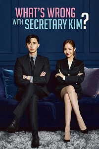 海报: What's Wrong with Secretary Kim
