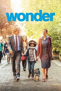 Póster: Wonder