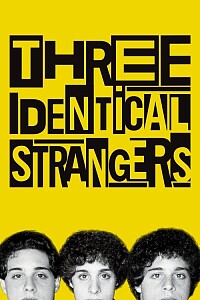 Poster: Three Identical Strangers