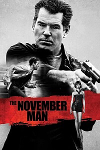 海报: The November Man