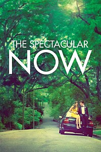 海报: The Spectacular Now