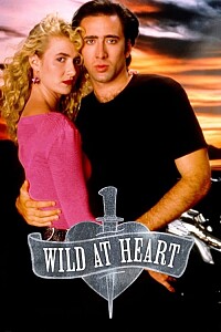 海报: Wild at Heart