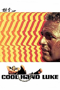 海报: Cool Hand Luke