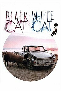 Plakat: Black Cat, White Cat