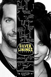 Póster: Silver Linings Playbook